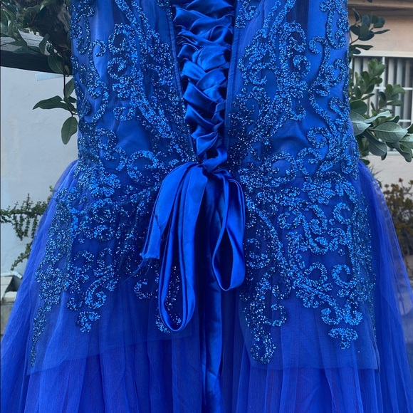 Royal Blue Lace & Tulle Floor-Length Ball Gown with Built-In Petticoat - Picture 7 of 17